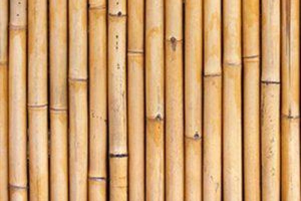 möbeltraum dan küchen rückwand Bambus braun